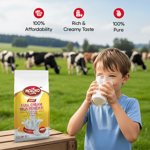 Moloko Instant Full Cream Milk Powder (1kg) - GMPEMART