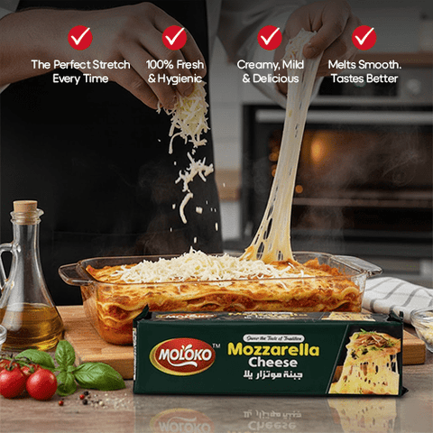 Moloko Mozzarella Cheese 2Kg - GMPEMART