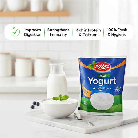 Moloko Plain Yogurt 450g - GMPEMART